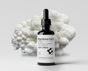 Mycolove Farm Organic Lion's Mane & Gotu Kola Tincture - Boost Mental Clarity