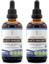 Secrets of the Tribe Black Walnut USDA Organic | Alcohol-Free Extract, High-Potency Herbal Drops | Made from 100% Certified Organic Black Walnut (Juglans Nigra) Dried Hull 2x4 oz