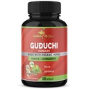 Organic Giloy Guduchi Extract Capsules & Ashwagandha, Licorice, Holy Basil | Immune Booster