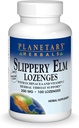 Ervas Planetárias Slippery Elm Lozenges, 100 Count