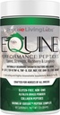 Equine Performance Peptide, תוסף סוסים אורגני, Hoof Joint & שריר תמיכה, עלייה במשקל עבור סוסים, 60 משרתים