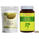 HERBAL HILLS Gurmar Tea Powder and Karela Capsules Pack of 2 Combo