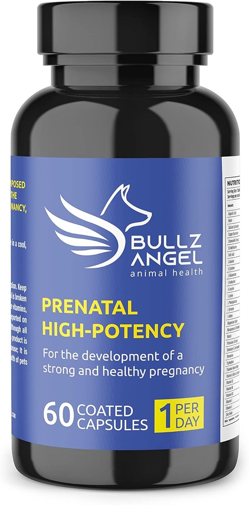 High-Potency prenatal