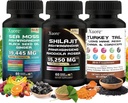 Shilajit, 바다 Moss, 블랙 씨 오일, 버섯 & 허브 보충 사자 Mane, 터키 꼬리, Reishi, Cordyceps, Chaga, Ashwagandha, Ginger, Rhodiola Rosea & Panax Ginseng, 모든 한 보충.