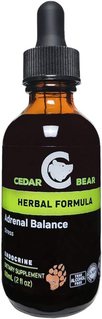 Cedar Bear Adrenal Balance - Liquid Herbal Supplement med adaptogener som bekämpar trötthet, hantera stress och öka energi 2 fl oz / 60 ml (1 enhet)