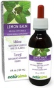 Naturalma Lemon Balm (Melissa officinalis) Leaf Bezalkohola Tinktūra - 4 fl oz Šķidrais ekstrakts pilienos - Augu Papildinājums - Vegan