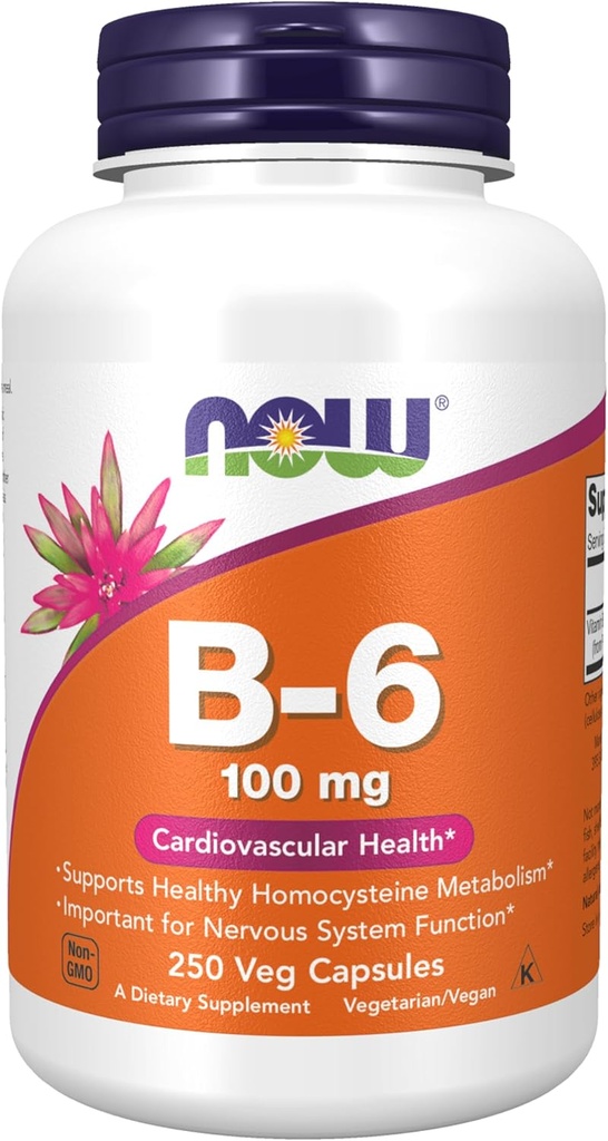 Teraz potravinové doplnky, vitamín B-6 (Pyridoxín HCl) 100 mg, kardiovaskulárne zdravie, 250 Veg Kapsule