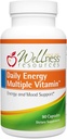 Wellness Resources Daily Energy Multiple Vitamin - 90 Capsules - Methylated Daily MTHFR Multivitamin Without Iron - Vitamin B12, Folate, & Bioavailable B Vitamins - Best Supplement for Energy & Mood