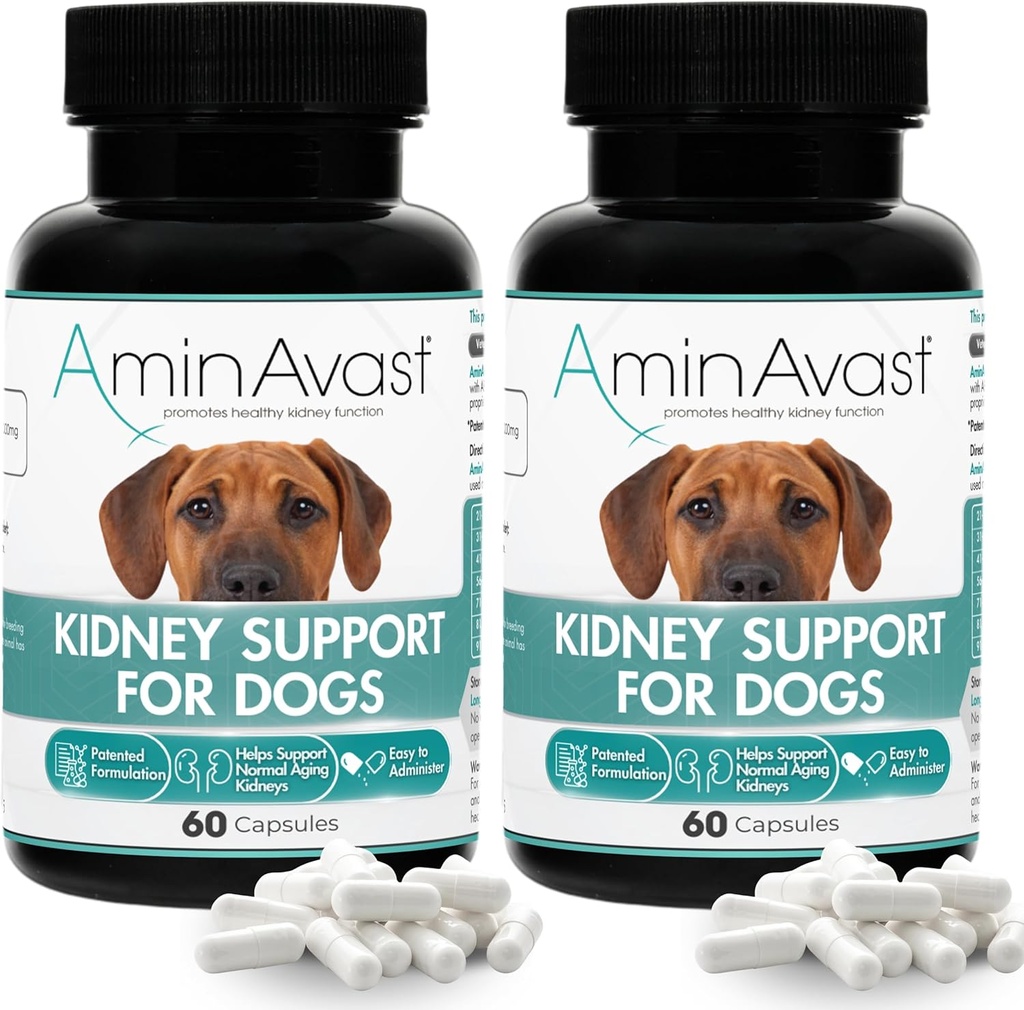 AminAvast Kidney dóna suport a Dogs, 1000mmg 2-Pack - Promotelis Natural Nney - Aids en salut i Vitalty d'Aing Kidneys - cimiment  administració de 60 Sprekle Capsles