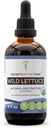 Segreti della Tribe Wild Lettuce Tincture Alcohol-Free Extract, USDA Organic Wild Lettuce (Lactuca virosa) Dried Herb (4 FL OZ)