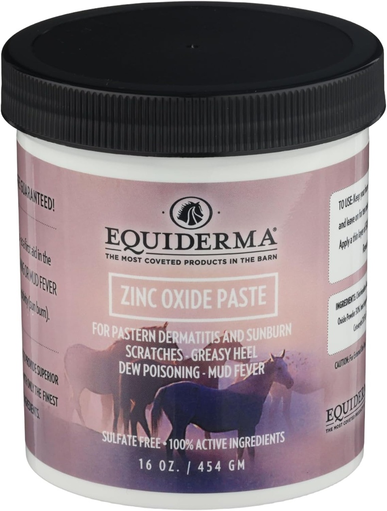 Equiderma Zinc Oxide Paste per Cavalli, 16 oz | Trattamento per la dermatite pastern, Scratches & Sunburn | Barriera protettiva per acqua e UV Shield | Trattamento della pelle dell'equino