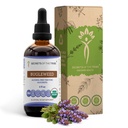 Secrets of the Tribe Bugleweed Tincture Alcohol-Free Liquid Extract, USDA Organic Bugleweed (Lycopus Virginicus) Dried Herb (4 FL OZ)
