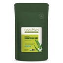 Banyan Botanicals Bhumyamalaki Powder – Organic Liver Health Supplement* – Phyllanthus spp. – for Natural Detoxification & Cleansing of The Liver* – 1/2 Pound – Non GMO Sustainably Sourced Vegan