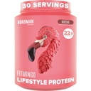 BIRDMAN Fitmingo Vegan Protein Powder with Inositol, Collagen Boosters, Hyaluronic Acid and Vitamins | Low Carb, Dairy Free, Low Calorie | 23g Plant Based Mocha Protein Powder with Myo-Inositol