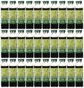 Prince of Peace Red Panax Ginseng Extractum Ultra Strength 30 Vial(s)