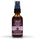 VIDA CYKEL Reishi Mushroom Spray oral com limão Myrtle - Dormir, Relaxação - Suporte do sistema imunológico, Antioxidantes, Vitamina C, Não-GMO, Vegan, Glúten Livre, Feito nos EUA, 1 oz