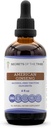 Secretele Tribului American Ginseng Tincture Extract de alcool-liber, Ferma crescut American Ginseng (Panax Quinquefolius) Supliment rădăcină uscată Tinctură (4 FL OZ)