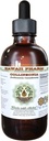 Collinsonia Alkohol- Free Liquid Extract, Collinsonia (Collinsonia Canadensis) Tørret Root Glycerit Hawaii Pharm Natural Herbal Supplement 4 oz