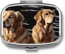 Pill Box 2 Compartment Square Pill Organizer Daily Small Pill Case for Travel Golden Retrievers Metal Pill Edukiontzi Portable Medicine Antolatzailea Pilula Bitaminak Fish Oil Supplement