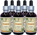 Cherry Pygeum Afrika (Prunus Africana) Tincture, Organik Dirry Bard Extract (Nama Merek: HerbalTerra, Proughtly Made in USA) 5x2 Fleroz (5x60 ml)