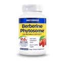 Enzymedica Berberine Phytosome High Absorption Supplement - Berbevis Berberine Phytosome Capsules for Men & Women, Bioavailable Formula, Natural Metabolic Health Support, Vegan, Gluten Free - 60 Caps