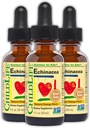LAPSILIFE OLENNAISET Echinacea lapsille - Lapset Echinacea Drops, Liquid Tincture, Alkoholiton täydentää vauvoille, Toddlers, Children - Natural Orange, 1 Fl Oz (paketti 3)