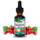 Nature's Answer Hawthorn Berries | Promotes Healthy Circulation Function | Helps Maintain Healthy Cholesterol Levels | Gluten-Free, Alcohol-Free, Kosher Certified & No Preservatives 1oz