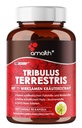 Amalth Tribulus Terrsestris, 20:1 Extract Per Serving, Highest Potency with Ashwagandha, Saw Palmetto, Shilajit 120 Capsules