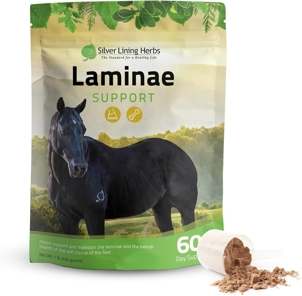 Silver Lining Herbs Laminae Support Horse Supplements Laminitis & At üçün istehsalçı dəstək - Supporting Mobility, Sore Jump, Soft Foot Doku və Better Coat - Atlar üçün Herbal Hoof Supplements - 1 LB