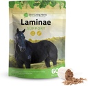 Sølv Lining Urter Laminae Support Horse Kosttilskud Laminitis & Grundlægger Support for Horse - Support Mobility, Sore Feet, Soft Foot Tissue & Bedre Coat - Herbal Hoof Kosttilskud til Heste - 1 LB