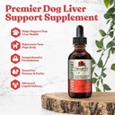 Yaşlı Pet Liver - Daha yaxşı Absoreksiya üçün Advanced Liver Support Supplement - Milk Butle, Dandelion, Artichoke & More!