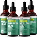 5in--1 Mullin Gots per a Lungs i Bronchial - Suport de Salut Respirial Lung amb Mulen Leaf Apping per a Lungs - Mullein Tin Tin Tincure amb Elderberry, Echinacea i Ginger (120 Servings) (4 de palets)