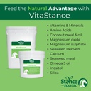 Stance Equitec VitaStance Vitaminas, mineralinis ir aminorūgščių priedas arkliams, 28,5 lb