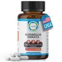 Boswellia Serrata 600mg 65 Boswellic Acid Extract Supports Joint Comfort, Flexibility & Mobility Natural Herbal Wellness Supplement Vegan, Non-GMO, Gluten-Free 90 Veg Capsules.