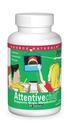 Source Naturals Attentive Child - Healthy Cognitive Nutrients for Active Children - Improved Focus & Attention with DMAE, Magnesium, Zinc & Grape Seed Extract - 60 Tablets