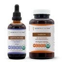 Secrets of the Tribe Artichoke and Yarrow Liquid Extract 4x4 oz | Cynara scolymus Dried Leaf and Achillea millefolium Dried Leaf and Flower
