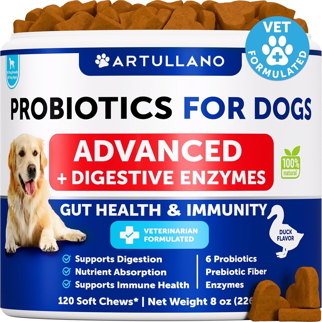 Probiotika för hundar - Support Gut Health, Itchy Skin, Allergier, immunitet, Yeast Balance - Dog Probiotika och Digestive Enzymes med prebiotika - Minska Diarré, Gas - 120 Probiotiska Chews för hundar