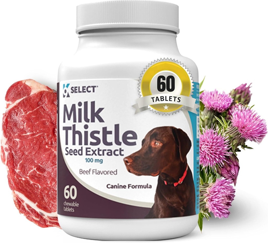 K9 Selectați Thistle lapte pentru câini, 100mg - 60 comprimate de carne de vită aroma - Canin ficat Sănătate naturală lapte Thistle Supliment