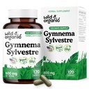 Wild & Organic Gymnema Sylvestre Capsules 600 mg - Overall Support - Natural Gymnema Supplement - Gurmar Herb Powder - 120 Days of Supply - Vegan, No Fillers, Non-GMO - 120 Count