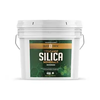 Volcanic Silica Minerals Micronized- 10 lbs