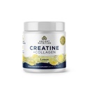 Ancient Nutrition Creatine + Collagen + Electrolytes – Muscle Strength, Lean Body Mass, Joint Comfort & Cognitive Support – Includes 5g Creatine Monohydrate for Women, Lemon (30 Servings)
