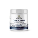 Ancient Nutrition Creatine + Collagen – Muscle Strength, Lean Body Mass, Joint Comfort & Cognitive Support – Includes 5g Creatine Monohydrate for Women, 30 Servings