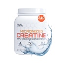 RIVAL NUTRITION Micronized Creatine I 100% Creatine Monohydrate Powder I Unflavored, 240 Servings, 1200g per container I 5g Per Serving I Supports Muscle Performance, Lean Mass, and Cognitive Function