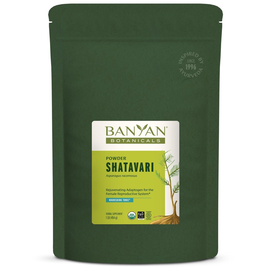 Banyan Botanicals Shatavari Powder – Organic Asparagus Racemosus Root Powder – Rejuvenating Adaptogen Tonic that Supports a Healthy Reproductive System* – 1 lb. – Non-GMO Sustainably Sourced Vegan