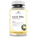 Superoxide Dismutase (SOD) Supplement Capsules. High SOD-Like Activity Enzyme for Cellular Aging & Longevity. 100% Vegan. Primary Master Antioxidant for Mitochondrial Support & Internal Skin Radiance