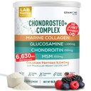 Granions Glucosamine Chondroitin MSM Powder 6,630mg - Joint Supplements for Men and Women - Chondrosteo, Hydrolyzed Marine Collagen Peptides, Essential Vitamins Glucosamine Complex - Wild Berry 9.9oz