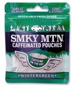 SMOKEY MOUNTAIN Caffeinated Pouches - Wintergreen - Tobacco Free and Nicotine Free - 15 Pouches Per Pack - 1 Pack