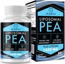 Liposomal Palmititoilatolalaide 1300 MG บวกลูเตโอลิน 100 MG, over Absorpation, Microtized Pia Suppplement for disception, 60 Softlegles