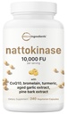 Micro Ingredients Nattokinase 10,000 FU Per Serving (Natural Natto Extract), 240 Vegetarian Capsules | with CoQ10, Turmeric, Aged Garlic & Pine Bark Extract | Non-GMO, Lab Tested, cGMP Manufactured