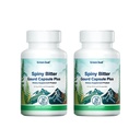 Spiny Bitter Gourd Capsule Plus - with Bitter Melon & Cinnamon - Metabolic Support for Men & Women - Vegetarian, Non-GMO - 45 Capsules, 2-Pack